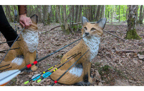 CONCOURS 3D A ROCHEFORT - 31 MAI